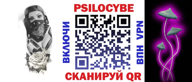 blacksprut онион  Могоча  Псилоцибиновые грибы Cubensis  цена  
